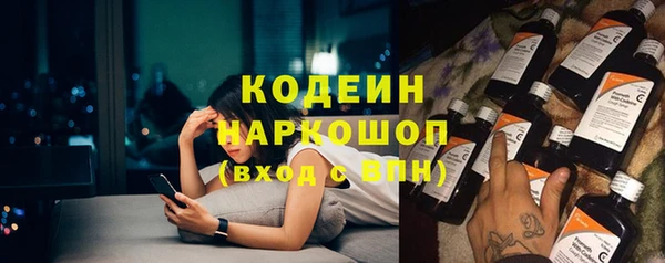 индика Арсеньев