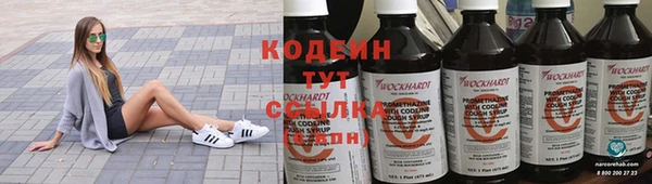 индика Арсеньев