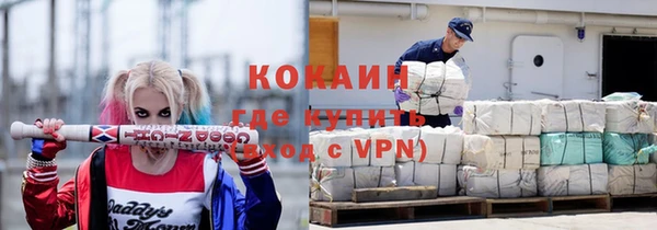 индика Арсеньев