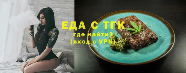 индика Арсеньев