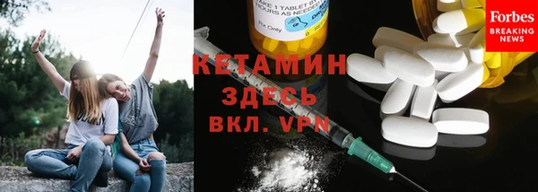 стаф Аркадак