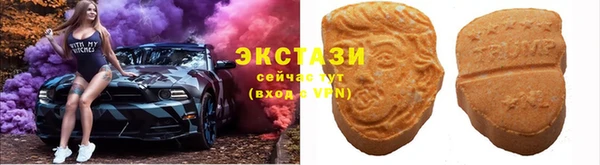 гидра Саяногорск