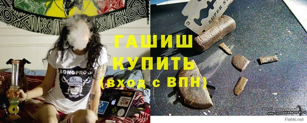 стаф Аркадак