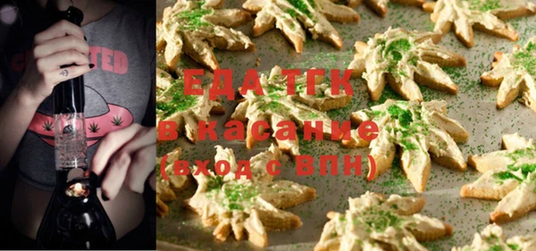 индика Арсеньев