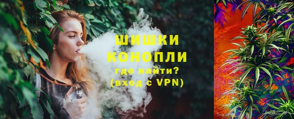 индика Арсеньев