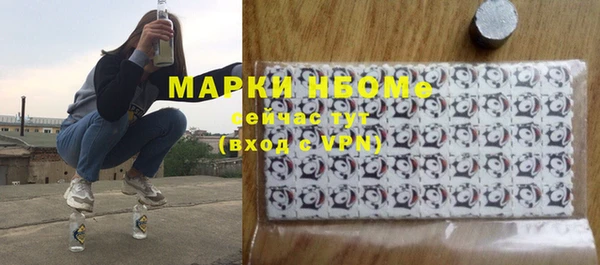 индика Арсеньев