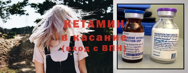 стаф Аркадак
