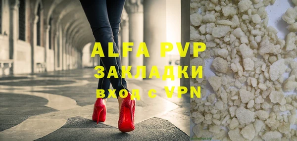 стаф Аркадак