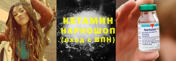стаф Аркадак