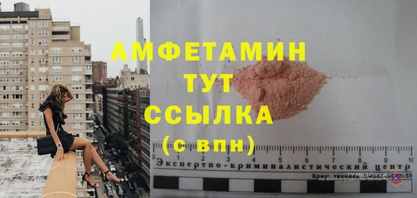 индика Арсеньев