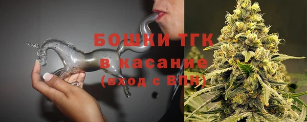 стаф Аркадак