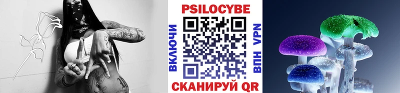 Галлюциногенные грибы прущие грибы  Макарьев 